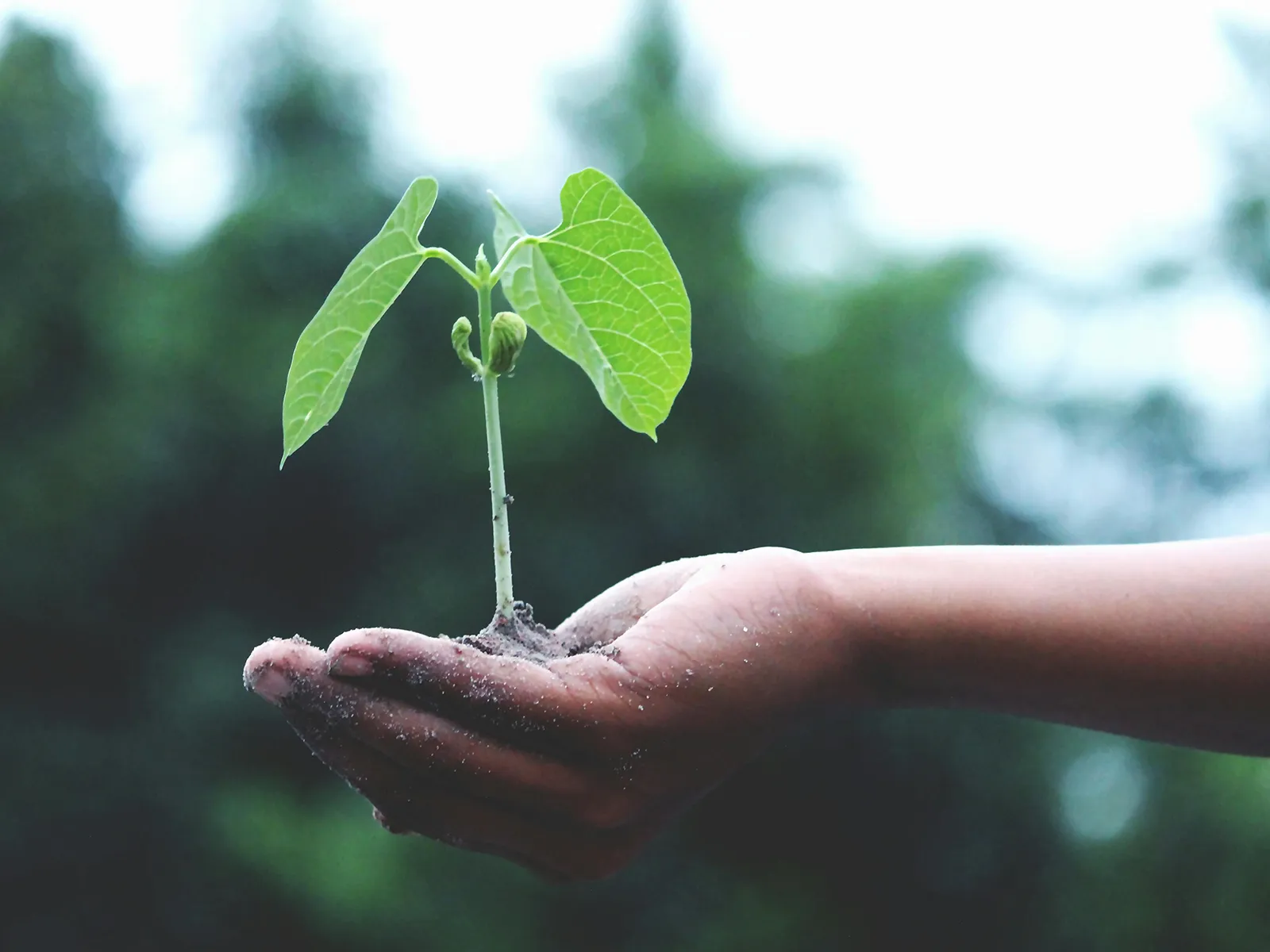Ein Gruppenbild bei der Übergabe des Nachhaltigkeits-Preise in den Räumen der Firma M&S